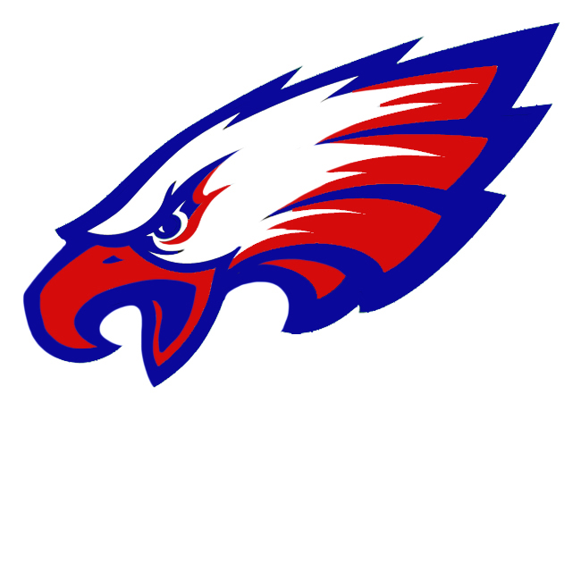 Philadelphia Eagles Logo fabric transfer